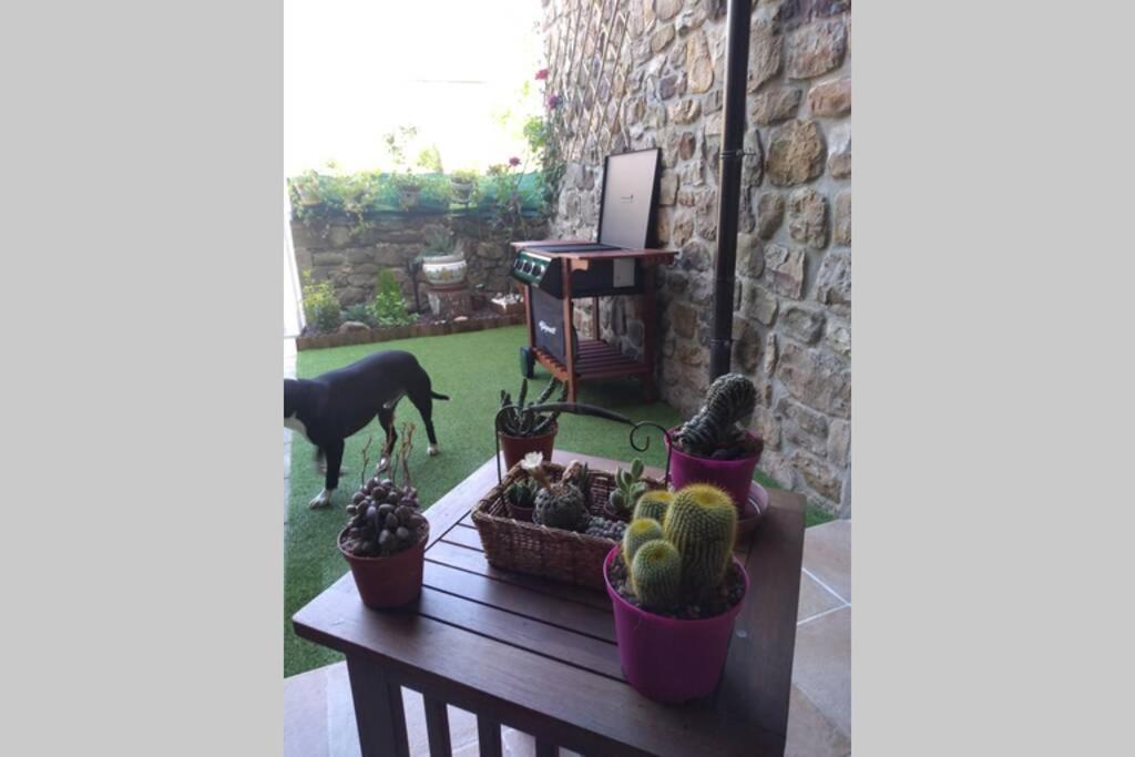 Casa Con Vistas En Ucieda Villa Bagian luar foto